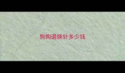 狗狗退烧针多少钱