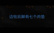 边牧后脚有七个肉垫