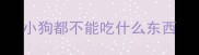 小狗都不能吃什么东西