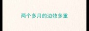 两个多月的边牧多重