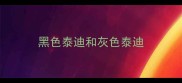 黑色泰迪和灰色泰迪