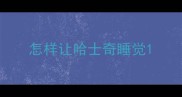 怎样让哈士奇睡觉