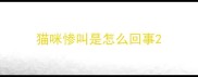猫咪惨叫是怎么回事
