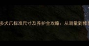 双血统拉布拉多犬爪标准尺寸及养护全攻略从测量到修剪的实用指南