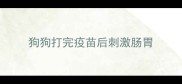 狗狗打完疫苗后刺激肠胃