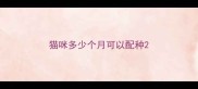 猫咪多少个月可以配种
