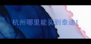 杭州哪里能买到泰迪