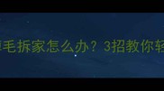 哈士奇饲养指南掉毛拆家怎么办3招教你轻松养出文明哈士奇