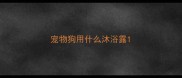 宠物狗用什么沐浴露