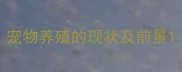 宠物养殖的现状及前景