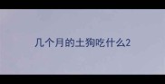 几个月的土狗吃什么