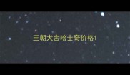 王朝犬舍哈士奇价格