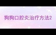 狗狗口腔炎治疗方法