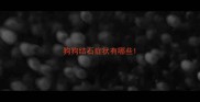 狗狗结石症状有哪些