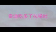 泰迪吃多了拉稀吐