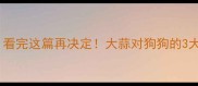 狗狗能吃熟大蒜吗看完这篇再决定大蒜对狗狗的3大危害及安全替代方案