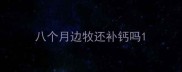 八个月边牧还补钙吗
