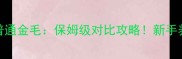 大骨金毛VS普通金毛保姆级对比攻略新手养狗必看差异全
