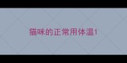 猫咪的正常用体温