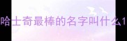 哈士奇最棒的名字叫什么