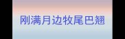 刚满月边牧尾巴翘