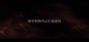 假孕狗狗可以打疫苗吗