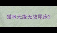猫咪无缘无故尿床
