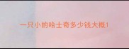一只小的哈士奇多少钱大概