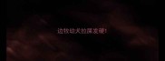 边牧幼犬拉屎发硬