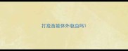 打疫苗能体外驱虫吗