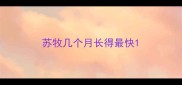 苏牧几个月长得最快