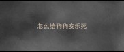 怎么给狗狗安乐死