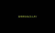 宠物弹涂鱼怎么养