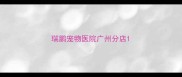 瑞鹏宠物医院广州分店
