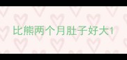 比熊两个月肚子好大
