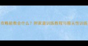 拉布拉多训练全攻略能教会什么附家庭训练教程与服从性训练技巧附视频
