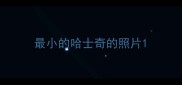 最小的哈士奇的照片