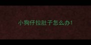 小狗仔拉肚子怎么办