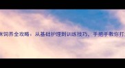 新手必看猫咪饲养全攻略从基础护理到训练技巧手把手教你打造高情商猫咪