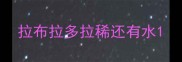 拉布拉多拉稀还有水