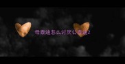 母泰迪怎么讨厌公泰迪