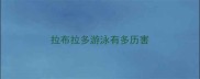 拉布拉多游泳有多历害