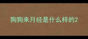 狗狗来月经是什么样的