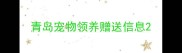 青岛宠物领养赠送信息