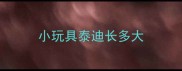 小玩具泰迪长多大