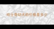 哈士奇幼犬的价格是多少