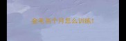 金毛当个月怎么训练