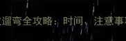 三个月金毛犬首次遛弯全攻略时间注意事项与科学喂养指南