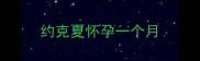约克夏怀孕一个月