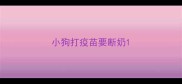 小狗打疫苗要断奶